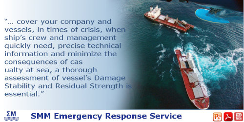 SMM Emergency Response Service